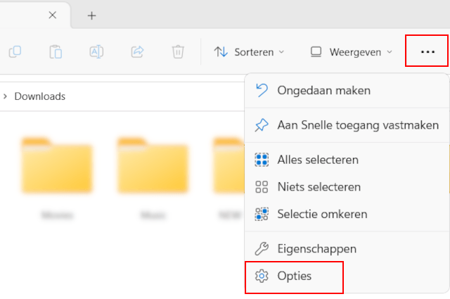 Windows 11 Verkenner opties knop